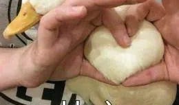 娱乐吃瓜酱鸭鸭视频,揭秘娱乐圈幕后故事